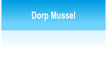 Dorp Mussel